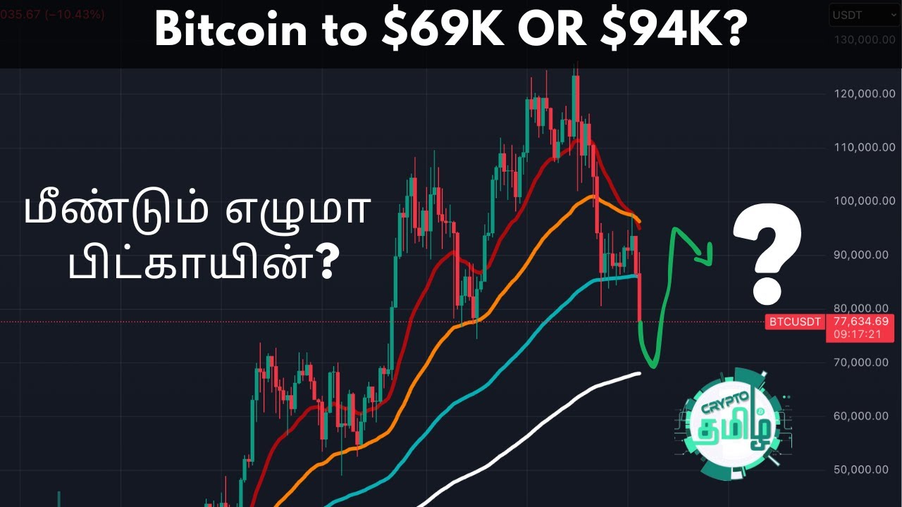 Important Crypto Market Update in Tamil - Crypto Tamil