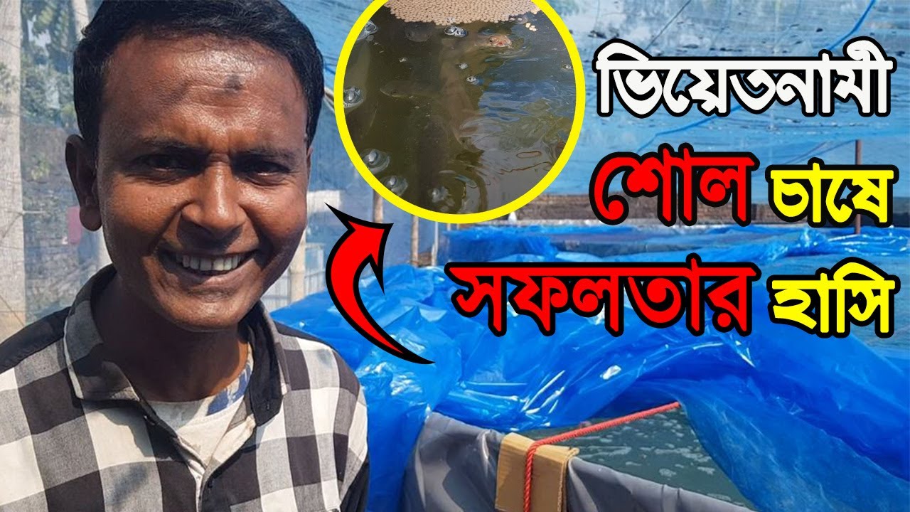 বায়োফ্লক পদ্ধতিতে মাছ চাষ - ভিয়েতনাম শোল মাছ চাষে সফল সিলেটের কামাল ভাই । BD Biofloc Fish Farming