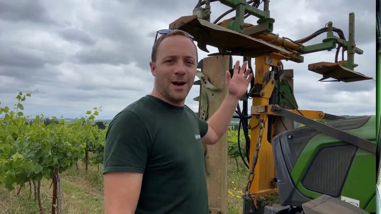 Écimage, Rognage de la vigne