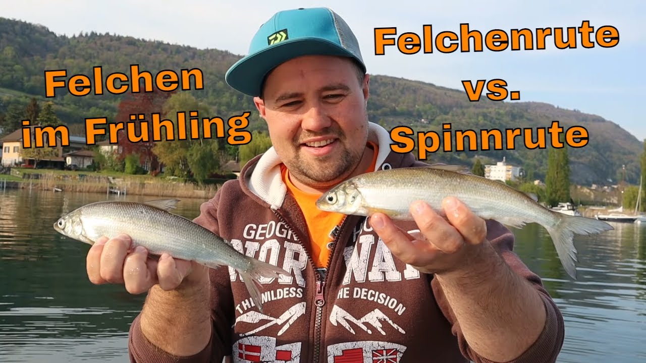 Felchenrute vs. Spinnrute im Frühling | 4 Ruten im vergleich