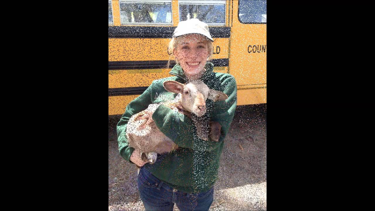 Vetlife 2014