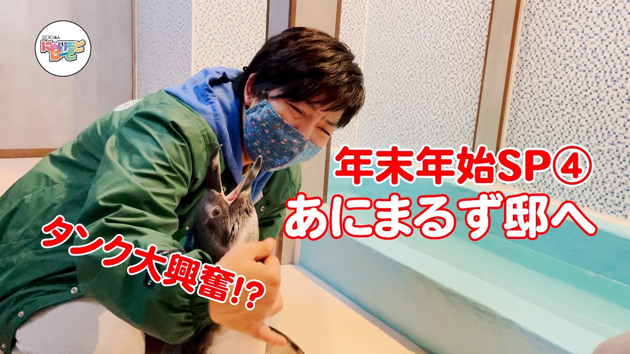 【年末年始SP④】「あにまるず」さんの家へ！…ペンギンにエサ
