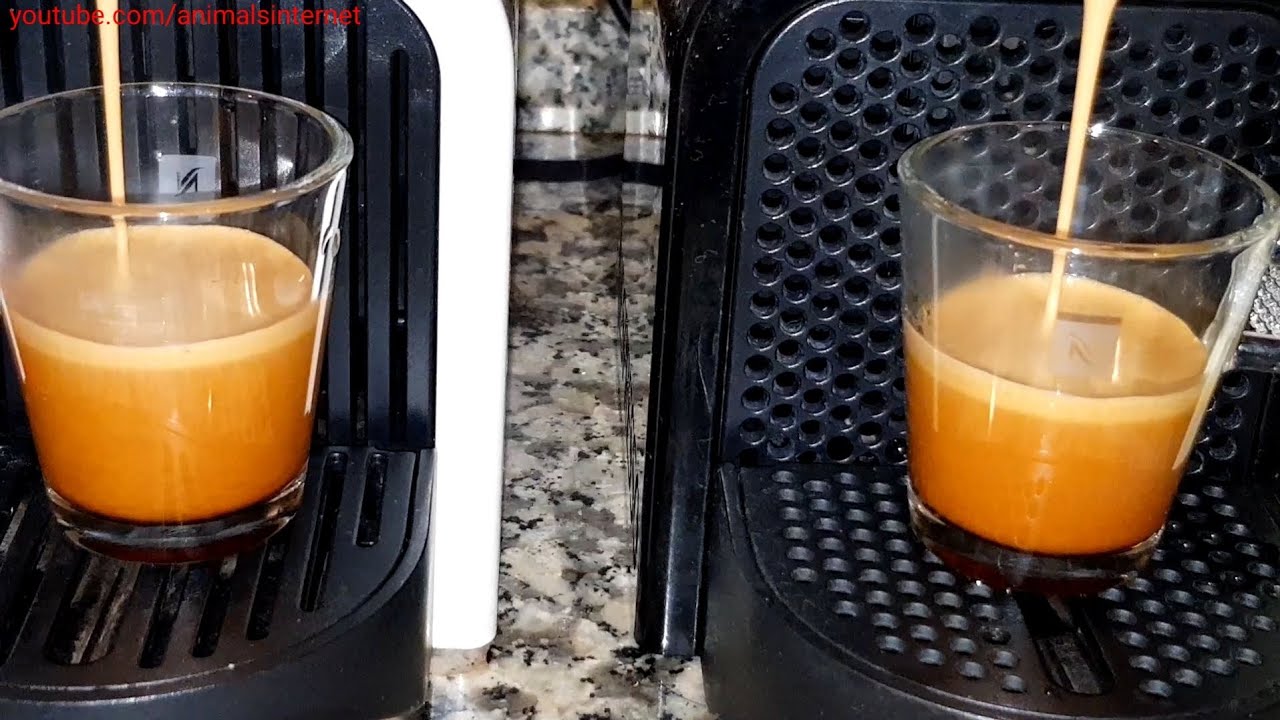 Nespresso Delonghi Inissia vs. Nespresso Krups Inissia: duel after reset