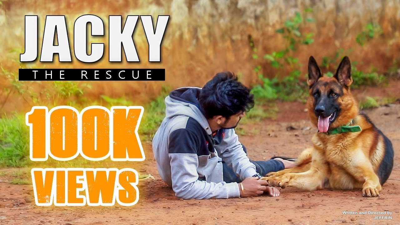 Jacky - In The Rescue | German Shepherd dog Short Film