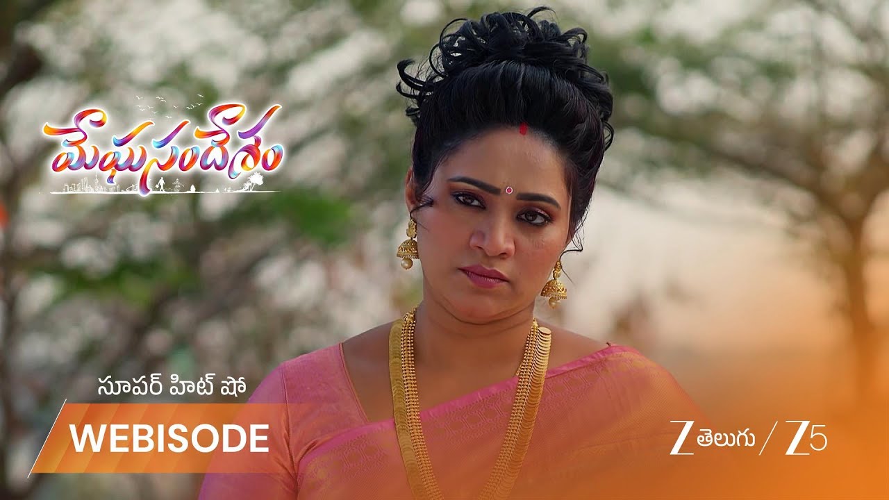 MEGHASANDESAM | భూమి తమ్ముడితో బిందువుని చూసి కోపంగా ఉన్న అత్త