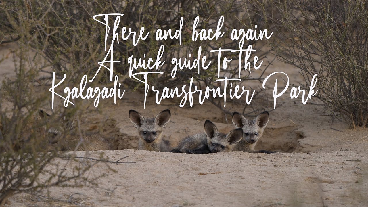 There and back again - A brief summary and guide to the Kgalagadi Transfrontier Park