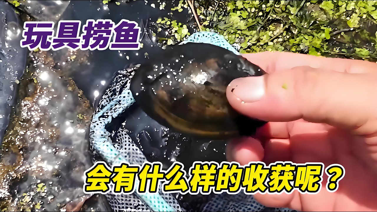 尝试用新买的渔网捞鱼，一网下去鱼全跑了，这个玩具能钓到鱼吗？