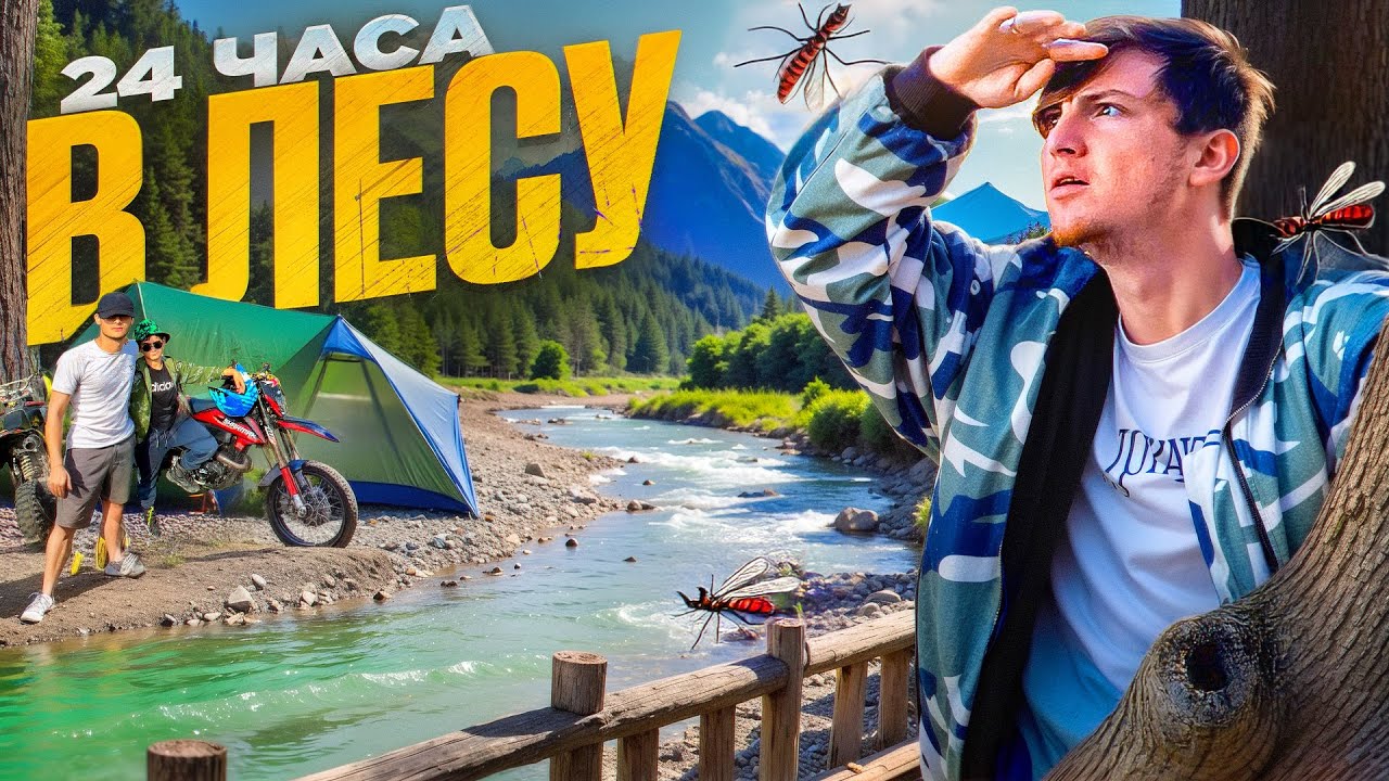 24 ЧАСА в ДИКОМ ЛЕСУ - Что БЫЛО НОЧЬЮ?