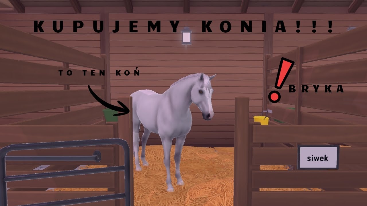 Kupujemy konia!!! /Odcinek 1 z seeri 