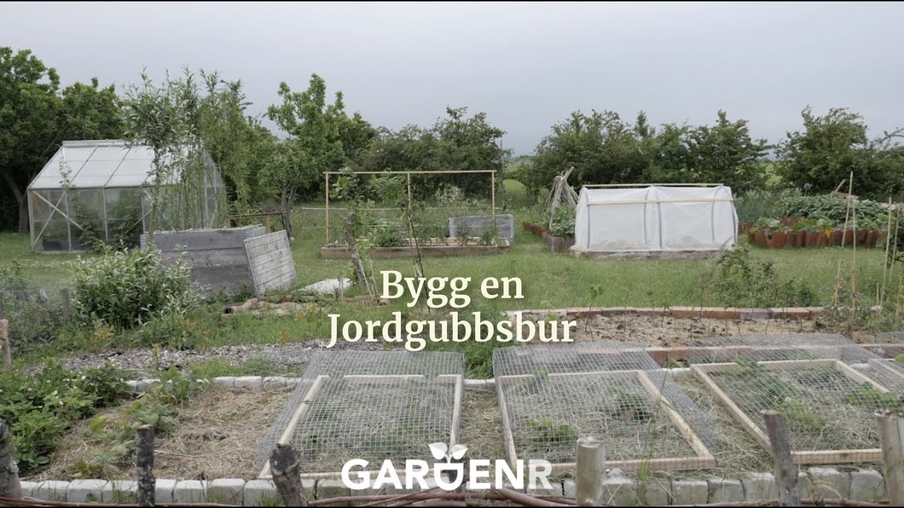 Bygg en jordgubbsbur - Trädgårdshacks med GardenR