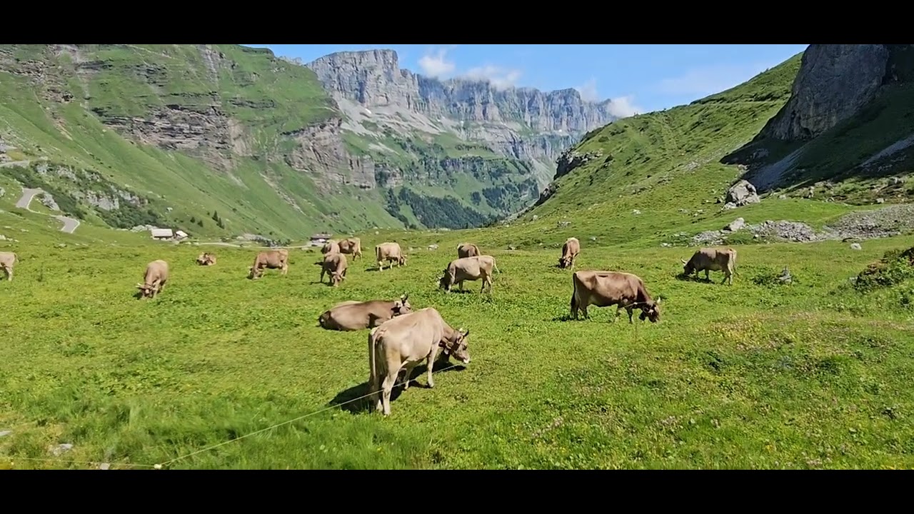 Urnerboden  🇨🇭 im Juli