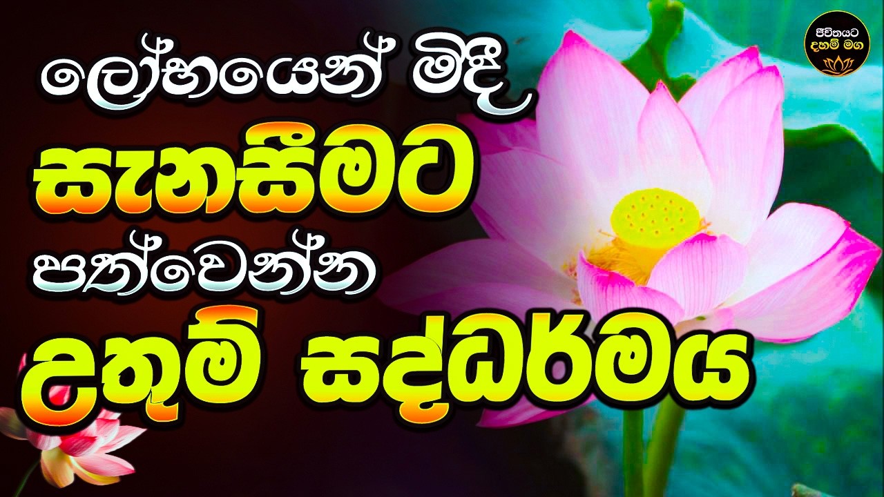 44 සසර කෙටි කර ගන්න සිතන ඔබටයි මේ උතුම් සද්ධර්ම දේශනය | ශ්&zwj;රවණය කරන්න
