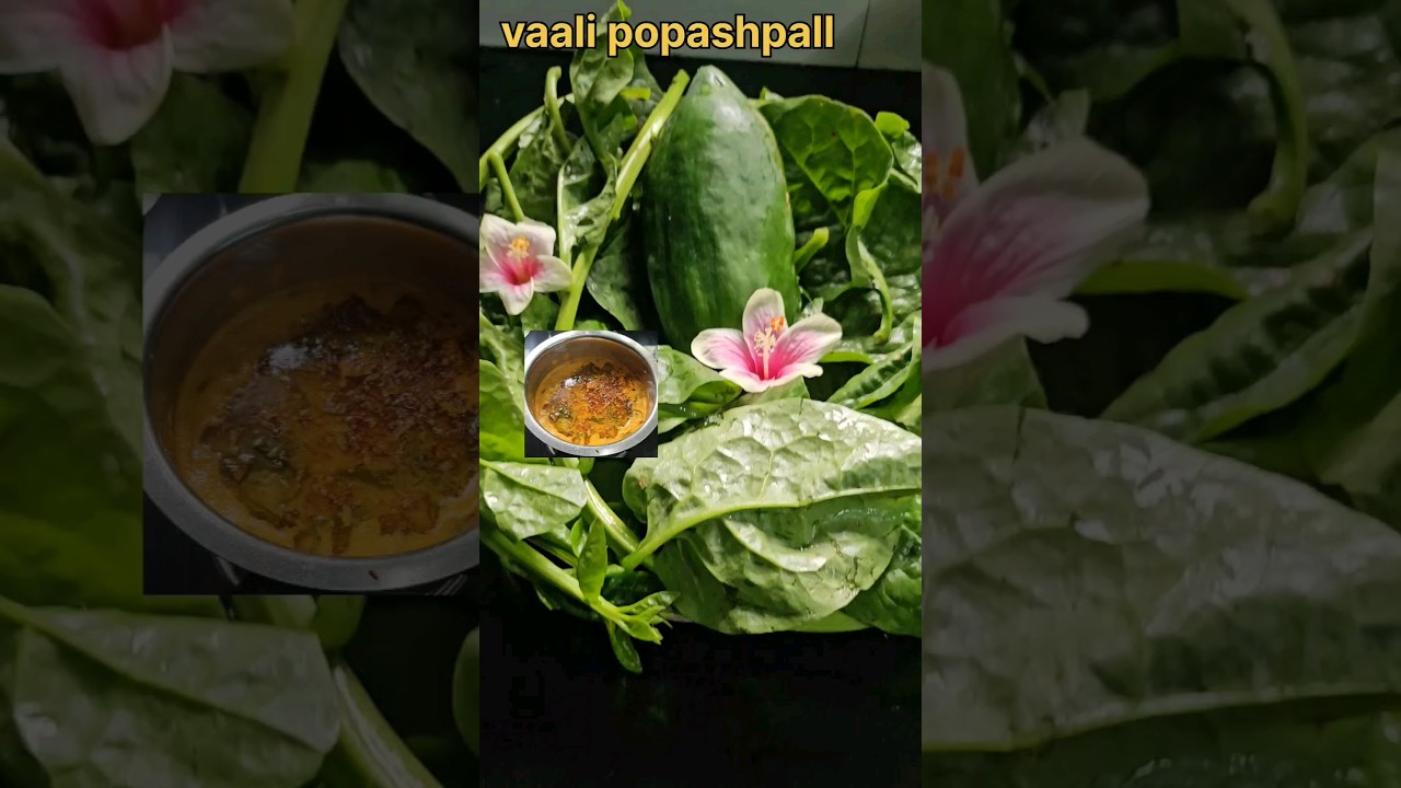 Vaali popashpall ambat#amchigele #Konkani recipe