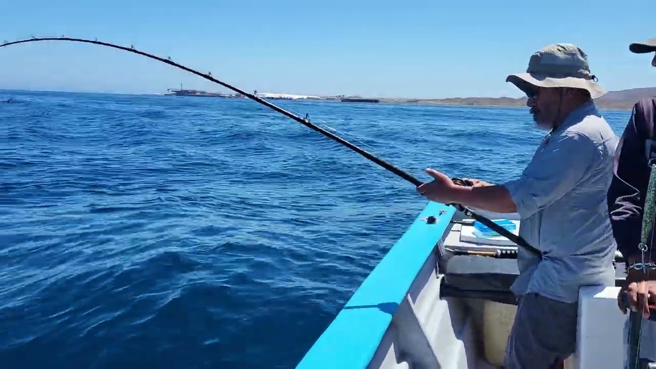 Warren Hamachi,  Cedros Sportfishing,  July 2025