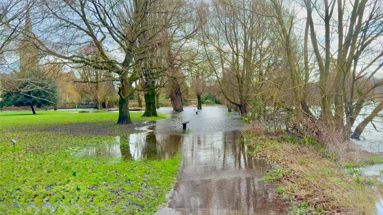 SALISBURY SERIOUS FLOODING QUEEN ELIZABETH GARDENS AND HARNHAM WATER MEADOWS  ON TUES 11TH FEB 2026