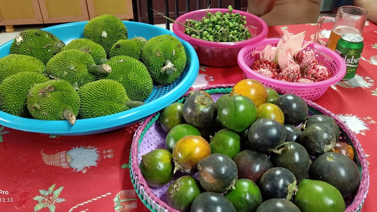 PANEN HASIL KEBUN