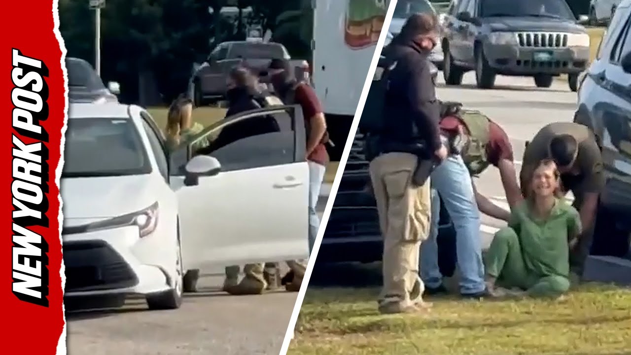 &lsquo;I&rsquo;m a US Citizen!&rsquo;: Dramatic Footage Shows Florida Woman Forcibly Pulled From Car