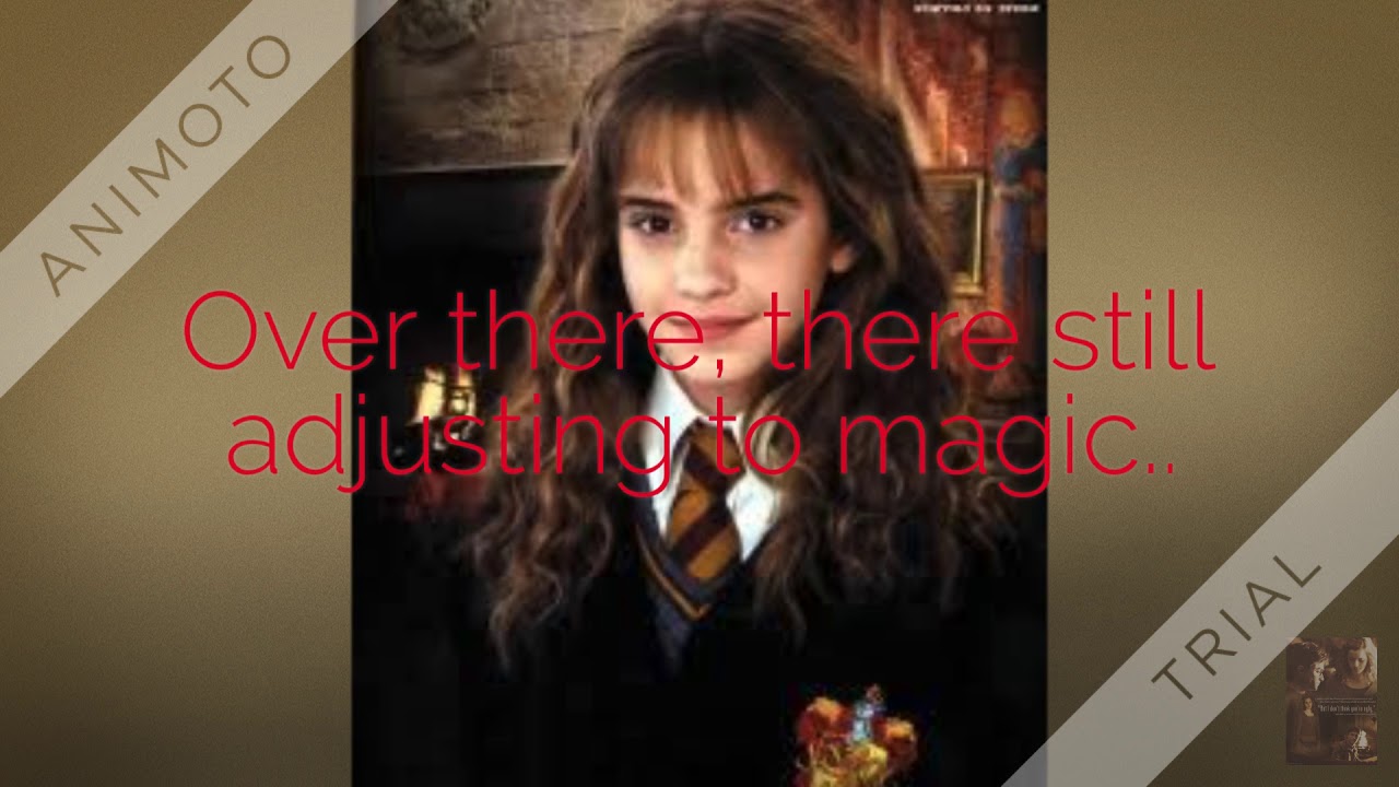Harry and Hermione Love story P11