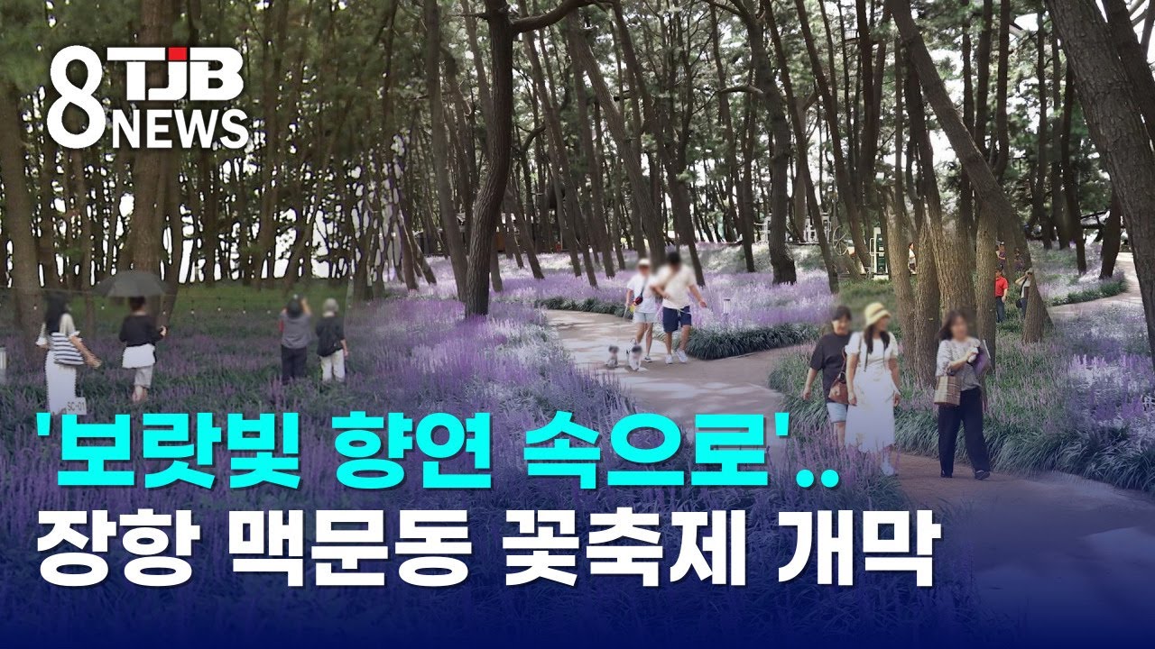 '보랏빛 향연 속으로'..장항 맥문동 꽃축제 개막｜ TJB 대전·세종·충남뉴스