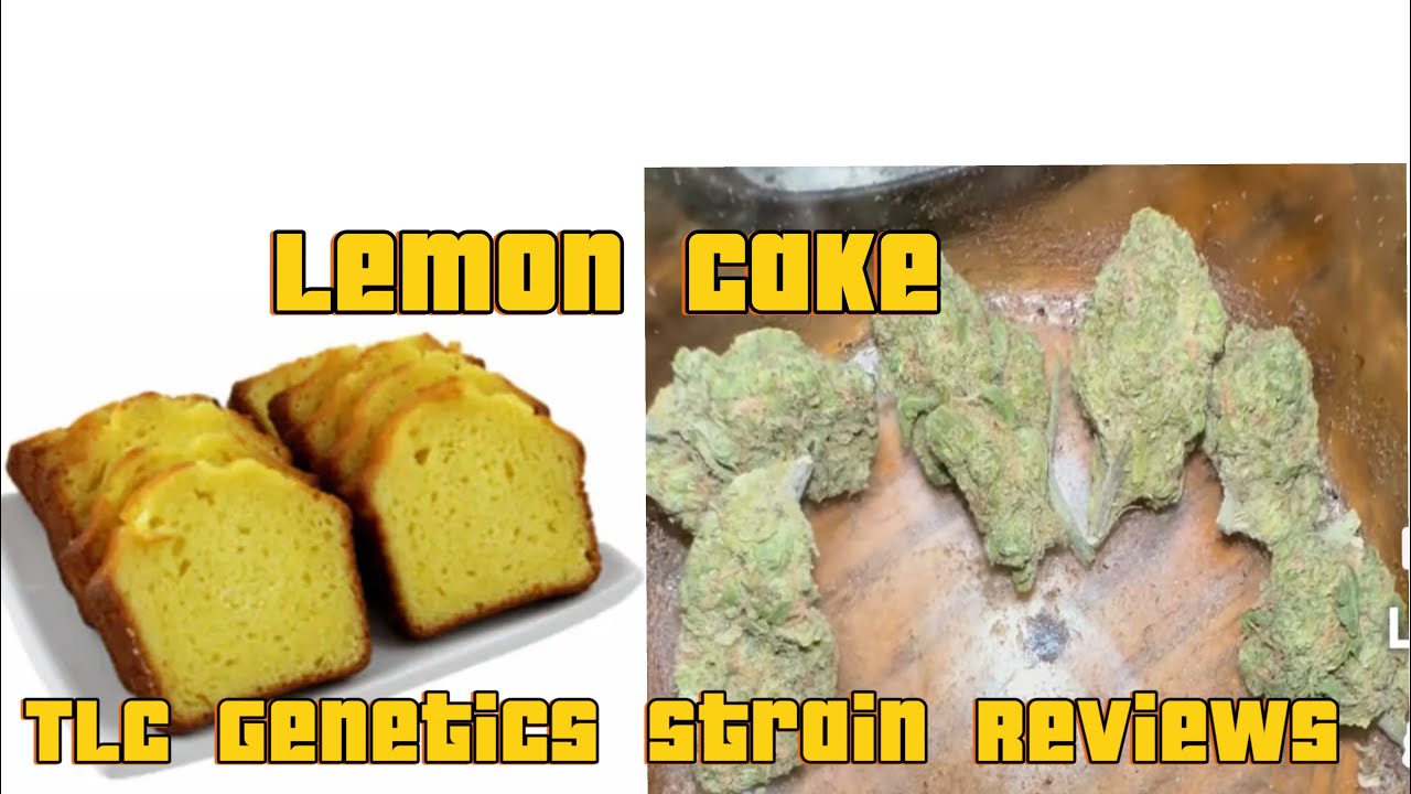 The TLC Genetic Show : Lemon Cake (Strain Review)