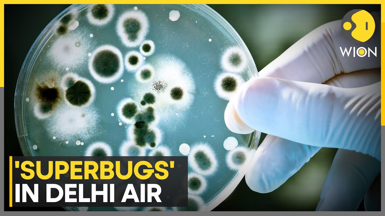 India: Deadly Superbug Detected in Delhi as Per Study Amid Poor Air Quality | WION NEWS