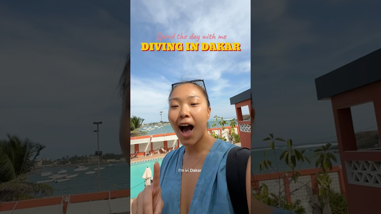 Day 2 of diving in Dakar 