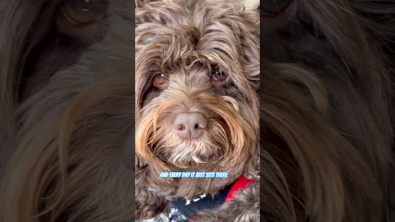 Worth every penny♥️ 