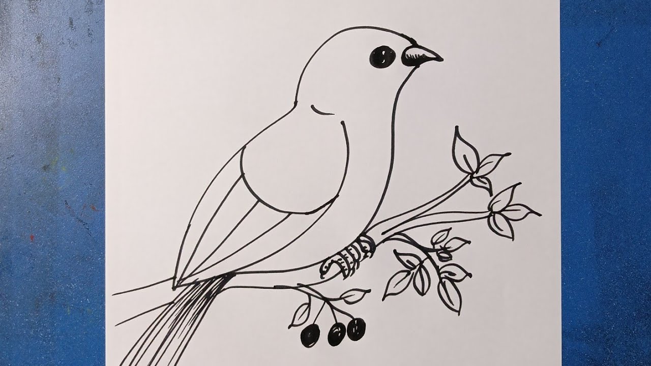 Bird drawing 🦜 cute #viralvideo  #art  #musica  #art  #shortsviral