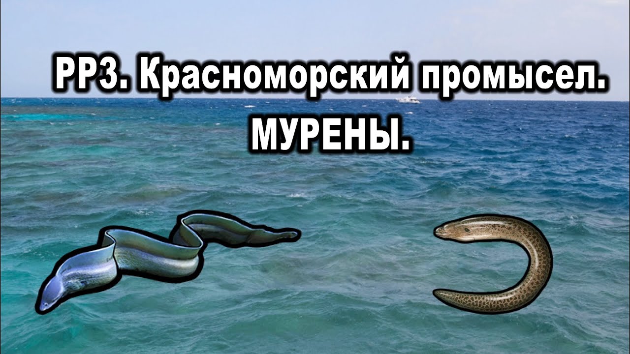 РР3. Красноморский промысел. Мини-квест 