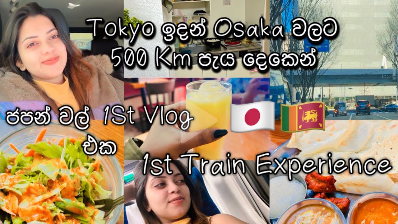 ජපන් වල ඉදන් 1st Vlog එක 🌸🤍🇯🇵 | Tokyo ඉදන් Osaka වලට 500Km පැය දෙකෙන් | නාන් රොටි මෙච්චර රසද ? |