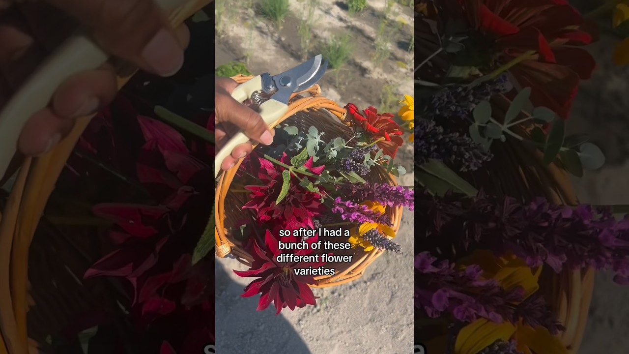 U-Pick Flowers 💐🌸🌷