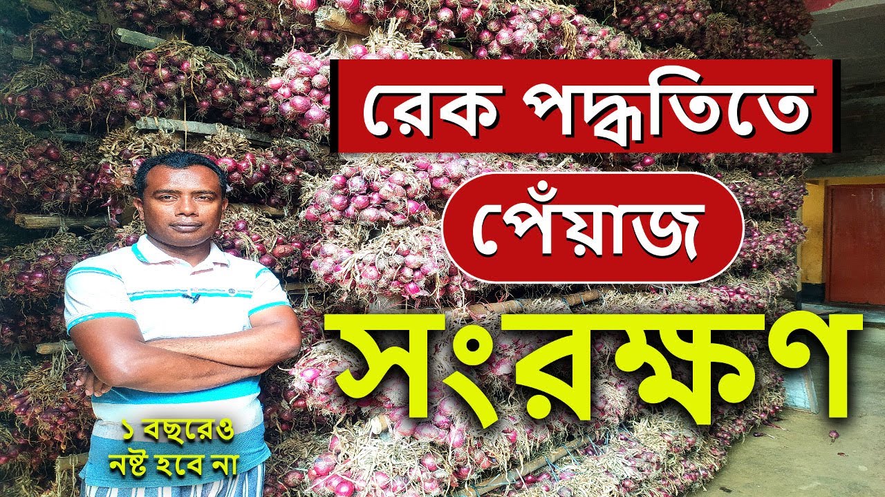 রেক পদ্ধতি পেঁয়াজ সংরক্ষন পদ্ধতি । একটি ঘরে ৭০ থেকে ৮০ মন পেঁয়াজ কিভাবে সংরক্ষন করবেন।Onion storage
