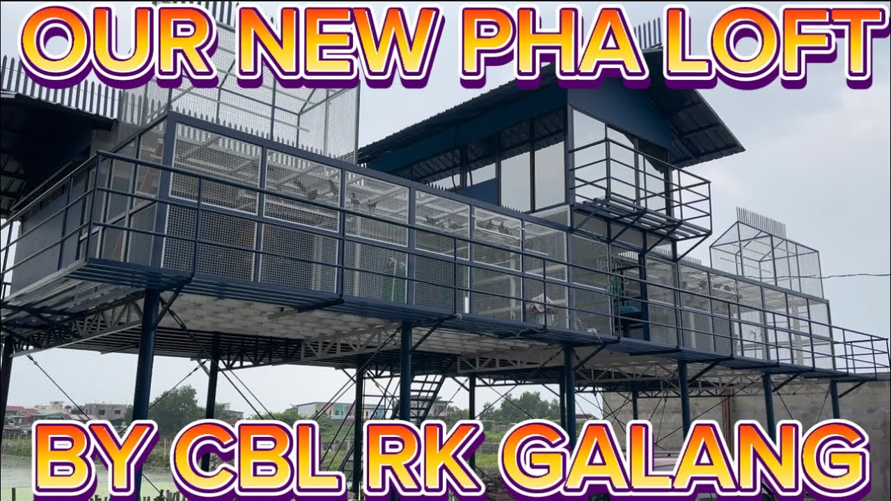 MULTI MILLION PIGEON LOFT OF CBL RK GALANG