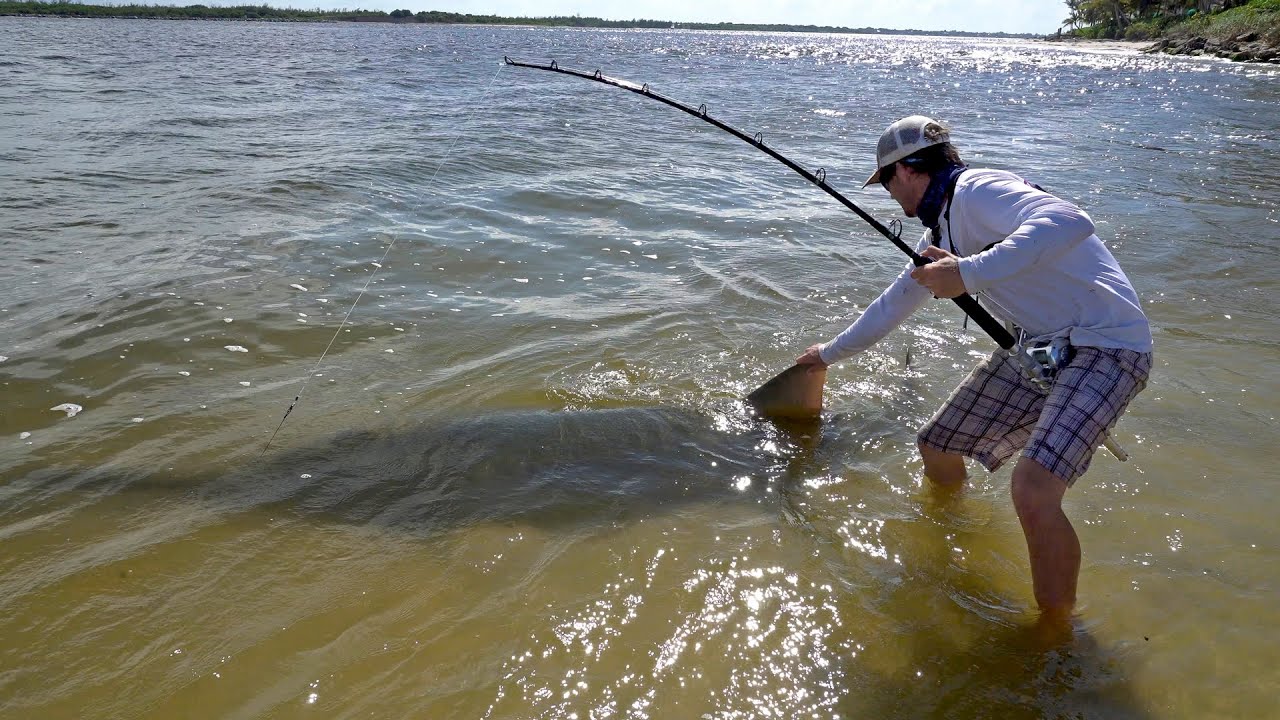 Gigantic 17ft Sawfish! - ft. Chew On This, LunkersTV, Jon B & ApBassing - 4K