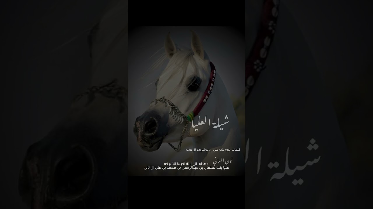 كلمات الشاعره / نون المعاني اداء المنشد زياد ال زاحم