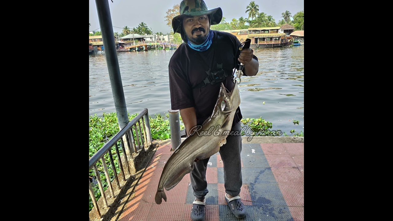  കൊമ്പൻ മാർ അടി തുടങ്ങി ( വാള ഫിഷിങ് )🔥🔥🐳🐳🐳🐳🐳🐳🐳🔥🔥🔥🔥🔥🔥🐟🔥🔥🔥