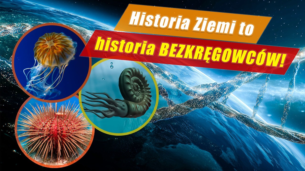 Ewolucja bezkręgowców cz. 1 - od gąbek do głowonogów - Historia Ziemi #4