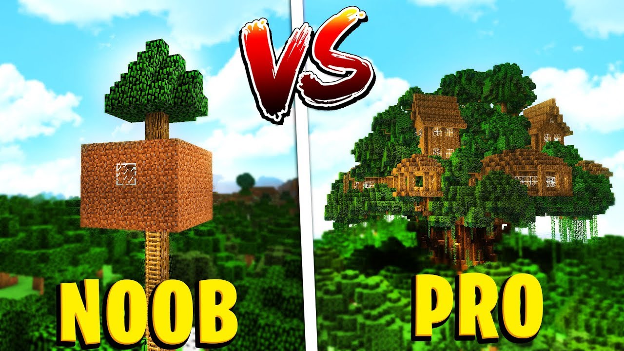 Minecraft ITA - NOOB VS PRO! - CHI VINCE?