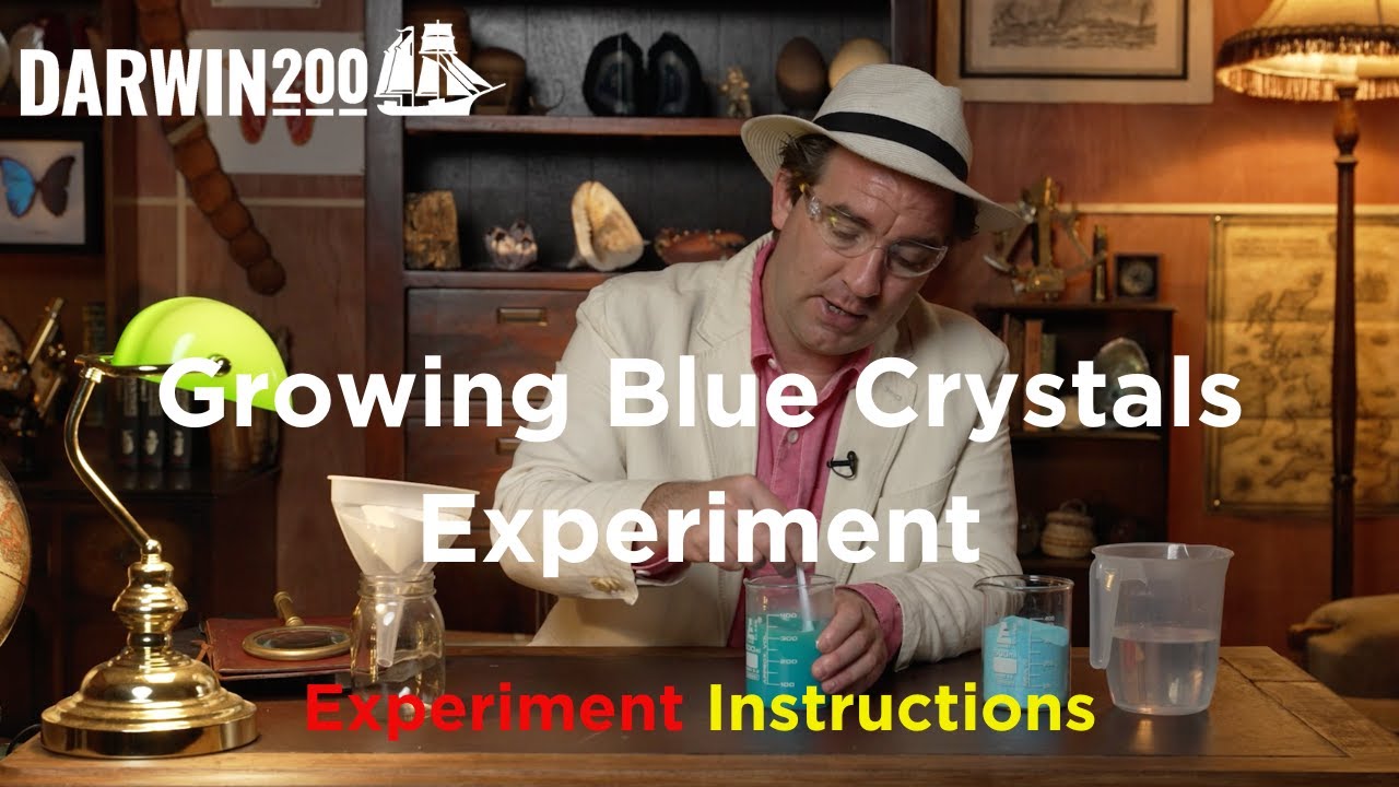 Growing Blue Crystals Experiment (Segment from World's Most Exciting Classroom Episode 33)
