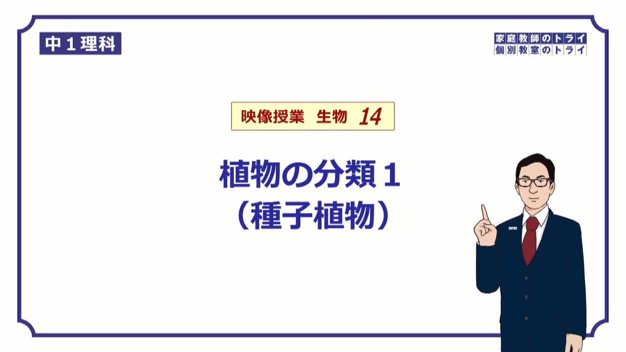 【中１　理科　生物】　種子植物の分類　（１７分）
