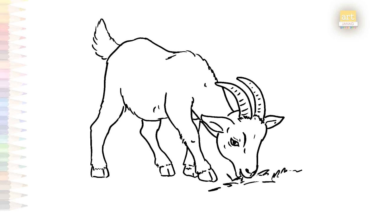A Goat eating grass drawing easy | Animal sketches | How to draw A Goat step by step | #artjanag