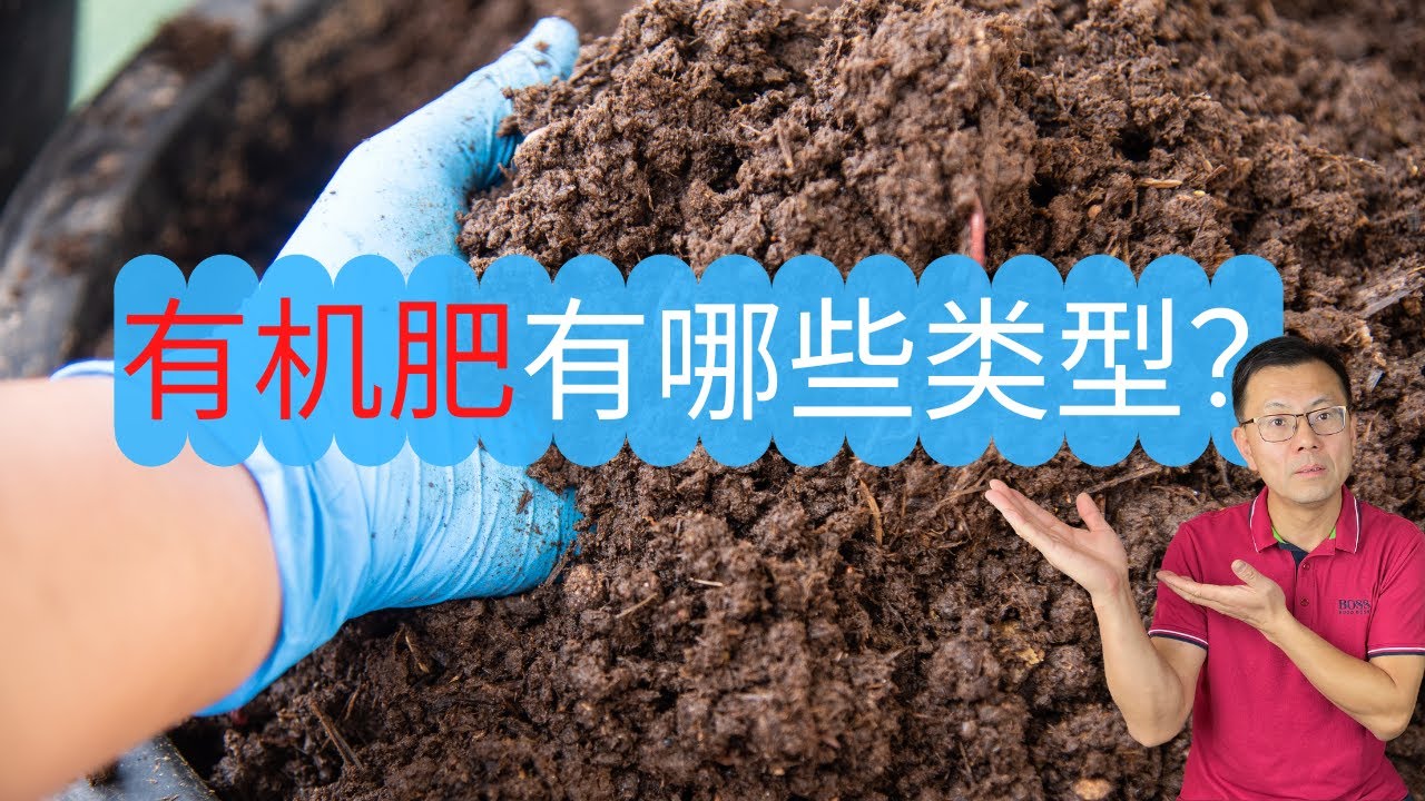 什么是有机肥？有机肥有哪些类型？如何选择有机肥？