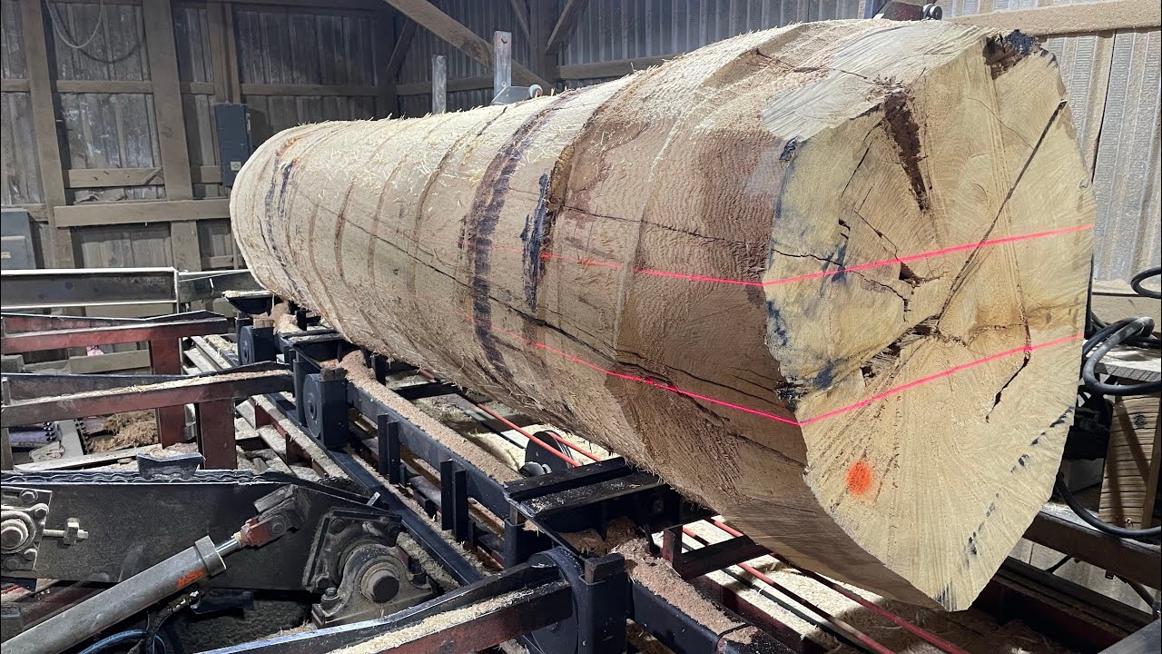 How to Saw-Mill a Wrecked 31 Inch White Oak!! Salvage the Shame #143