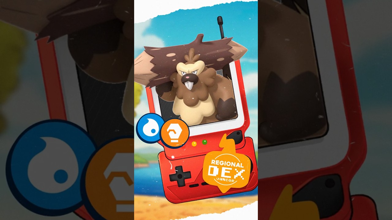 A NOVA EVOLUÇÃO DO BIBAREL!