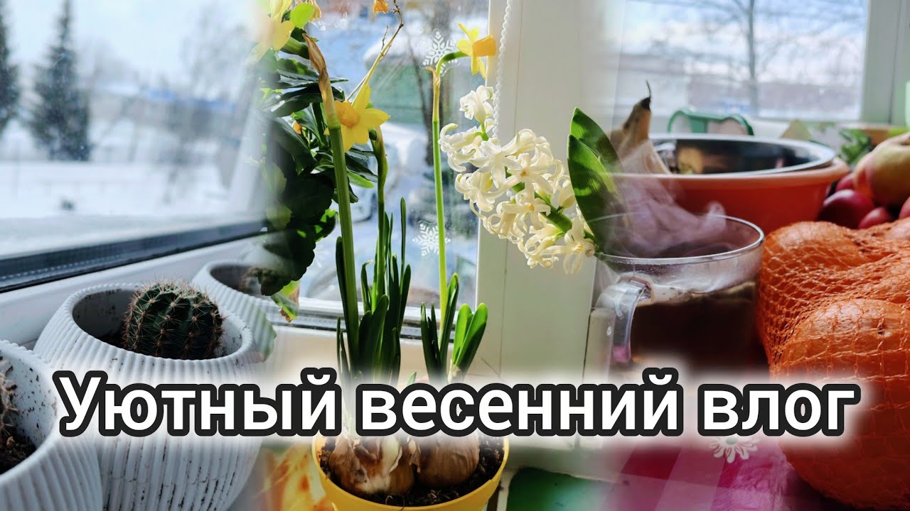 Уютный тихий весенний влог 💐 уютная ежедневная рутина, встречаю весну ☀️ silent vlog