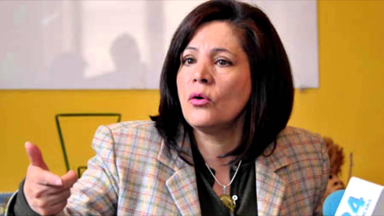 Ministra Amanda Dávila habló sobre propaganda en medios estatales para elecciones generales- Bolivia