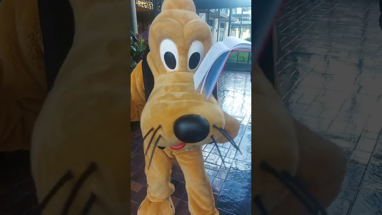 #waltdisneyworld #disney #mickeyandfriends #pluto #disney #disneycharacter