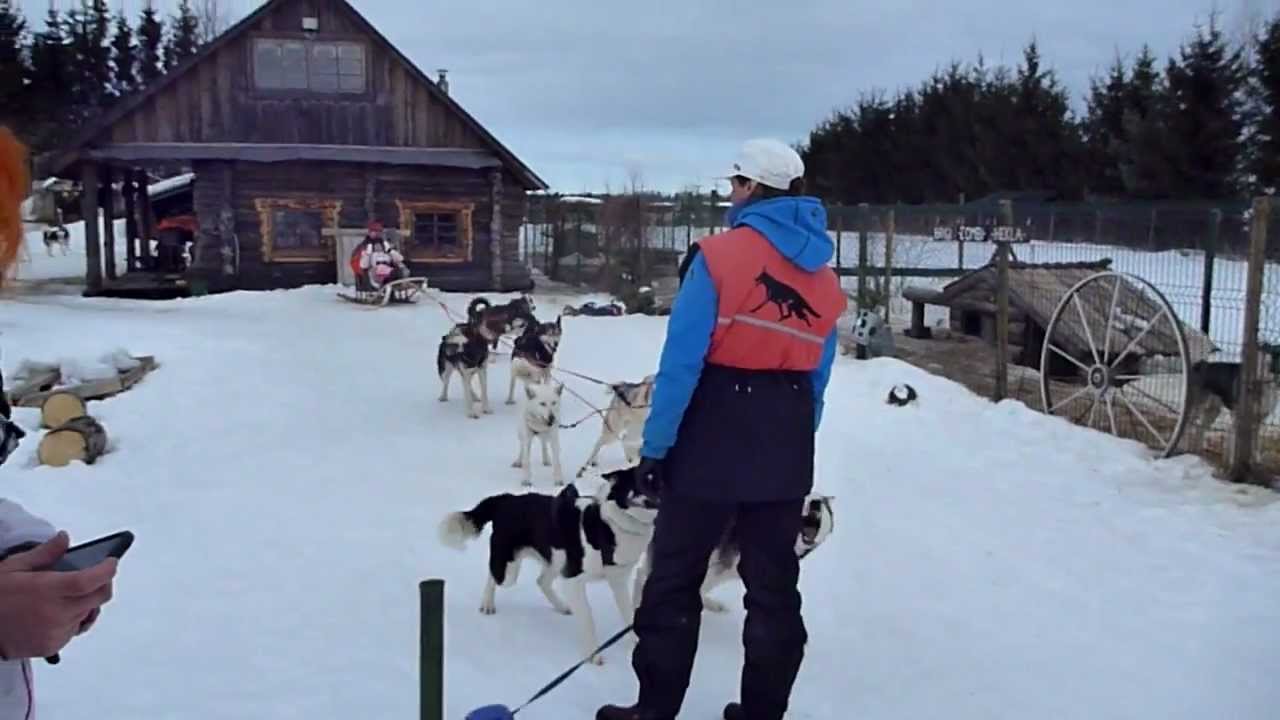 Hellerkantri huskypark