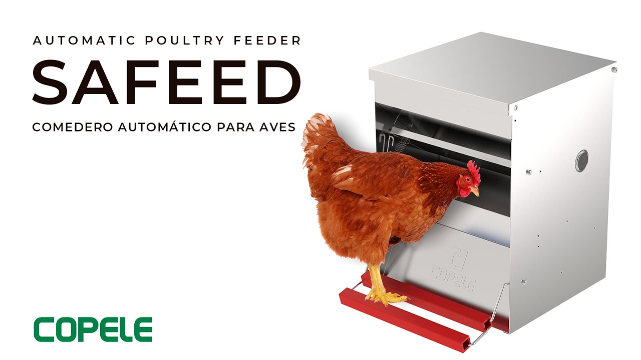 Comedero para Gallinas 