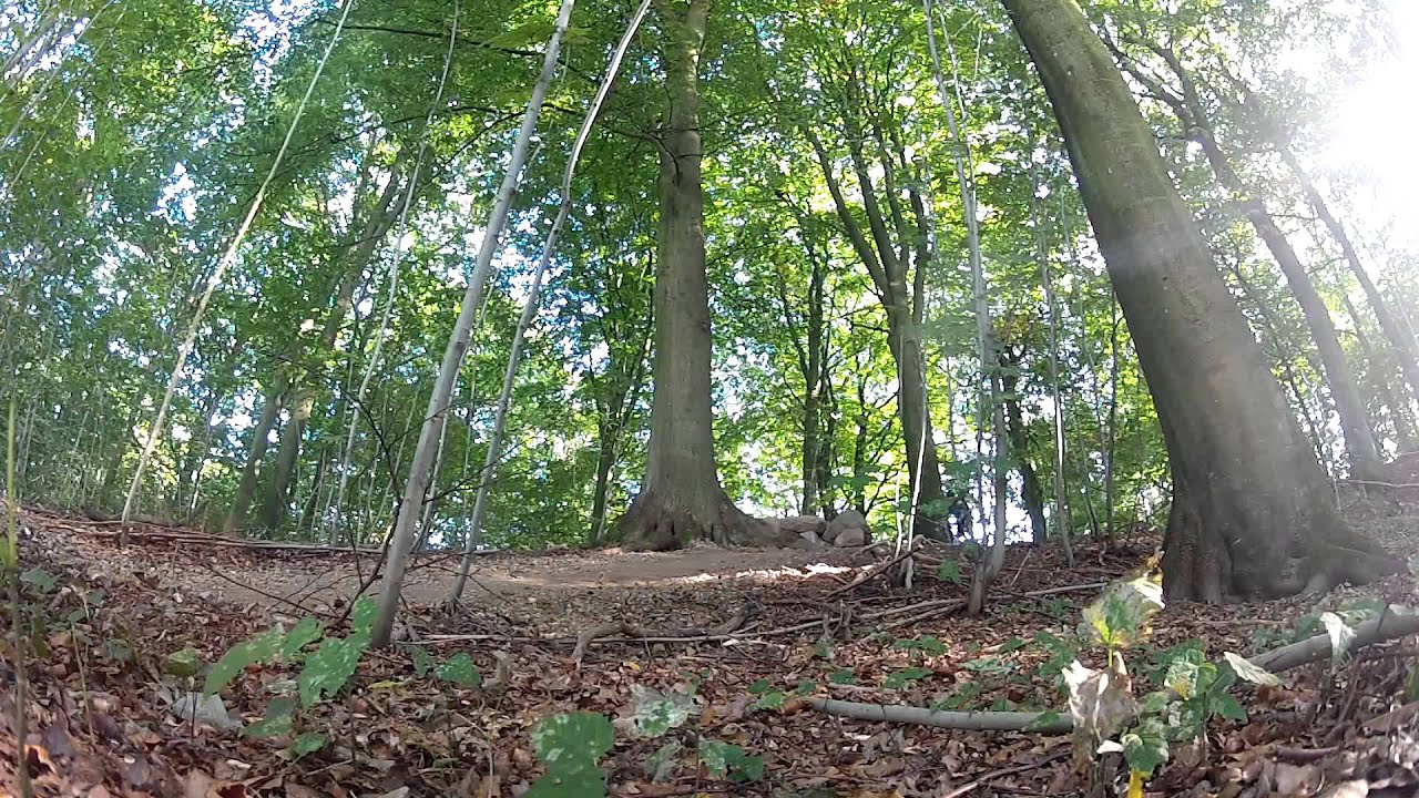 Kolding MTB spor 2014